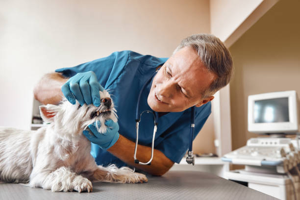 Best Emergency Dental Extractions in Inez, TX